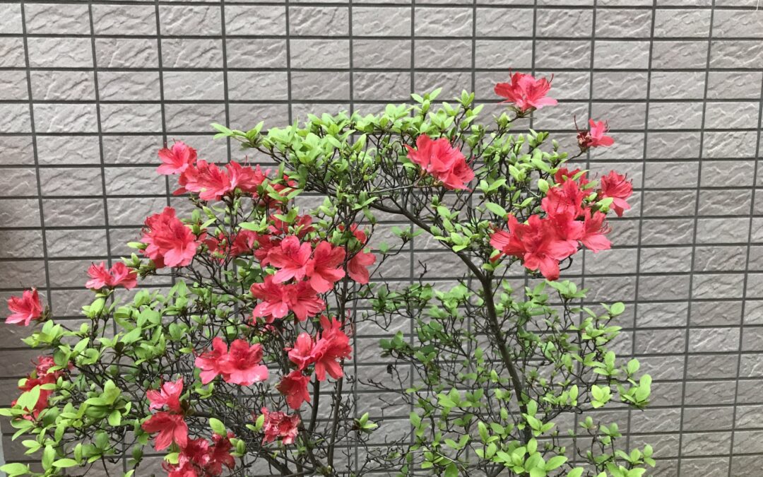 施工例05
